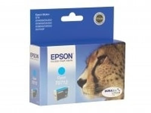 EPSON - GHEPARDO MULTIPACK EPST071540