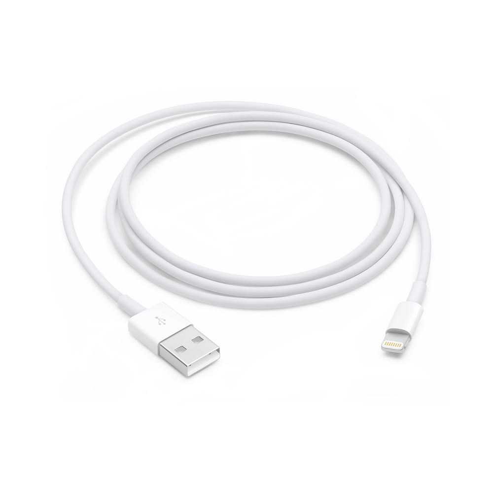 APPLE - CAVO LIGHTNING A USB 1MT