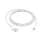 APPLE - CAVO LIGHTNING A USB 1MT