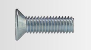 UNIFIX SWG - VITE FE TPS T+ ZINC.BIANCO 5X10 0048 5   10  01