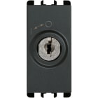 URMET - interruttore chiavi diverse, morsetti a vite, 1 modulo, estraibile in posizione 0, 2P 10A, Nea, antracite 2P CH 10A 1M TSTA