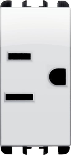 URMET - Presa USA/AR polarizzata 1 modulo 2P+T 15A 127V Nea bianco ghiacico BG.