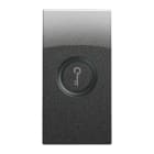 URMET - Copritasto illuminabile simbolo chiave, 1 modulo, Nea, acciaio scuro DIFF TRAS CHIAV 1M AC. 10365AC