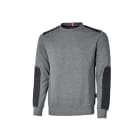 U-GROUP - RYKE GREY METEORITE