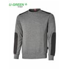 U-GROUP - RYKE GREY METEORITE