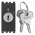 VIMAR - Pulsante 2P 16A con Chiave Grigio Unificata Estraibile in Posizione O