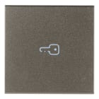 VIMAR - Tasto 2M Simbolo Chiave Assiale Metal - Intercambiabile 2 Modubi Comandi Assiali, Illuminabile.