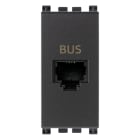 VIMAR - Presa RJ11 Speciale per Bus Grigio con Morsetti a Vite