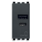 VIMAR - Alimentatore USB 12W 2,4A 5V Grigio per Tablet e Smartphone con Uscita Tipo A e C