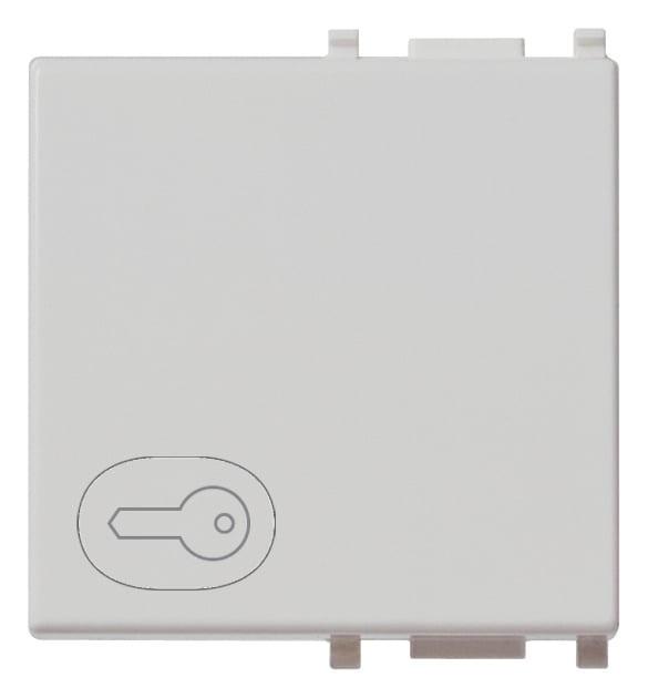 VIMAR - Tasto Intercambiabile 2 Moduli Simbolo Chiave Illuminabile Silver 14022.P.SL