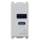 VIMAR - Alimentatore USB 12W 2,4A 5V Silver per Tablet e Smartphone con Uscita Tipo A e Tipo C