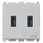VIMAR - Alimentatore USB C 15W 3A 5V 2 uscite tipo C per caricare fino a 3A, 120-240V 50/60Hz, Silver, 2 moduli, cavo 2M. 14295.CC.SL