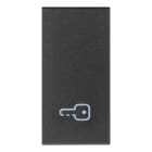 VIMAR - Tasto Intercambiabile 1 Modulo Illuminabile Grigio Chiave Simbolo 19021.P