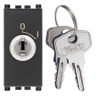 VIMAR - Interruttore 2P 16(3)A 250V~ a chiave unificata grigio, montaggio indipendente, IP20, per conduttori 1,5-4mm2, serie Arké.