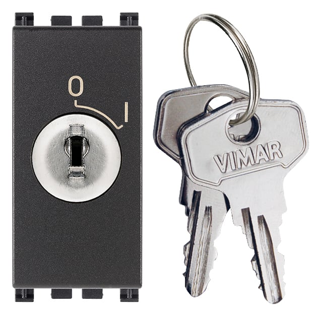 VIMAR - Interruttore 2P 16(3)A 250V~ a chiave estraibile, grigio, IP20, per conduttori 1,5-4 mm2, installazione Arké, disconnessione completa.