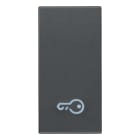 VIMAR - Tasto Intercambiabile 1 Modulo Simbolo Chiave Grigio Illuminabile 20021.P