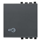 VIMAR - Tasto Intercambiabile 2 Moduli Simbolo Chiave Illuminabile Grigio 20022.P