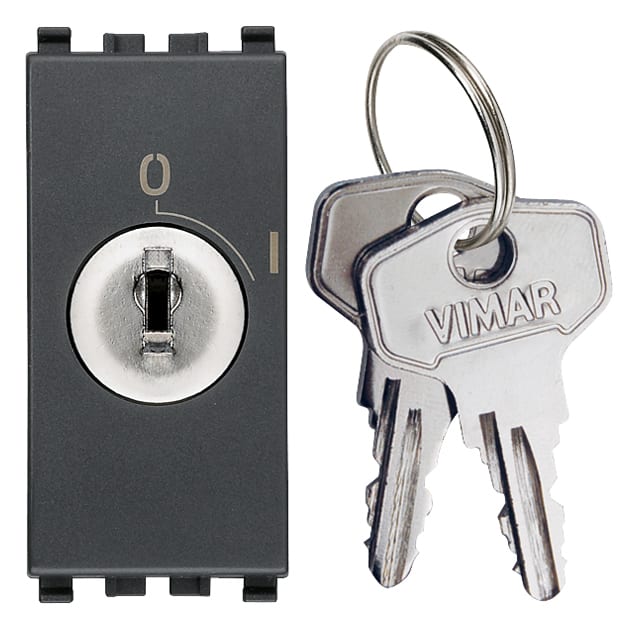 VIMAR - Pulsante 2P 16A con Chiave Grigio Unificata Estraibile in Posizione O
