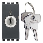 VIMAR - Pulsante 2P 16A con Chiave Grigio Unificata Estraibile in Posizione O