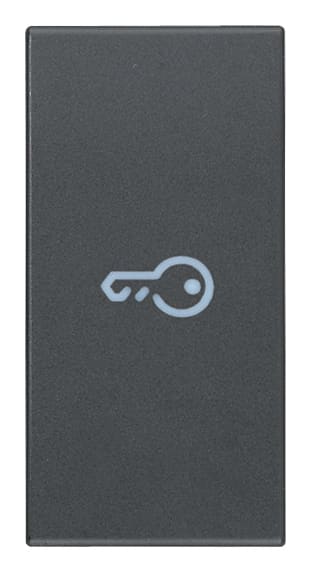 VIMAR - Tasto 1M Simbolo Chiave Assiale Grigio - Intercambiabile Modulo Comandi Illuminabile 20131.P