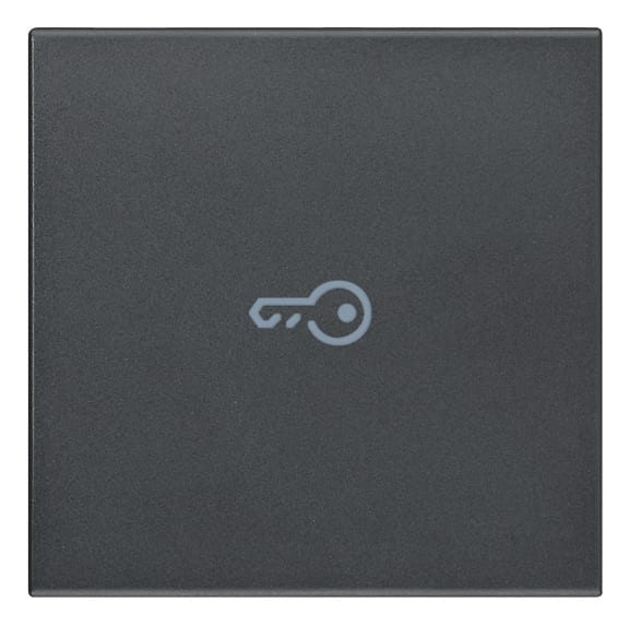 VIMAR - Tasto 2M Simbolo Chiave Assiale Grigio - Intercambiabile 2 Moduli Comandi Illuminabile 20132.P