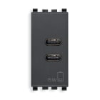 VIMAR - Alimentatore USB 15W 3A 5V Grigio - 2 Uscite Tipo C per Caricare Dispositivi Elettronici Fino a 3A - Alimentazione 120-240V 50/60Hz