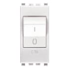 VIMAR - INTERRUTTORE MT 1P+N C16 120-230V BIANCO
