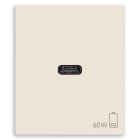 VIMAR - Alimentatore USB C 60W PD per notebook, tablet, smartphone, fotocamere, 1 uscita USB C, Power Delivery, 120-240 V 50/60 Hz, canapa, 2 moduli.