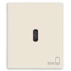 VIMAR - Alimentatore USB C 30W PD per Dispositivi Elettronici - Uscita USB Tipo C, Tecnologia Power Delivery, Alimentazione 120-240V, Canapa