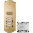VIMAR - Kit Audio Espandibile Due Fili Plus con Placca e Moduli in Ottone Satinato, Unità Elettronica, Scatola da Incasso e Alimentatore