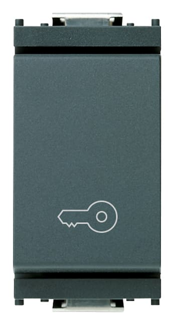 VIMAR - Pulsante 1P 10A Chiave Grigio 250V Simbolo