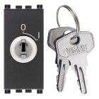 VIMAR - Interruttore 2P 16(3)A 250V~ a chiave estraibile, grigio, IP20, per conduttori 1,5-4 mm2, installazione Arké, disconnessione completa.