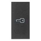 VIMAR - Tasto 1M Simbolo Chiave Assiale Grigio - Intercambiabile Modulo Comandi Illuminabile