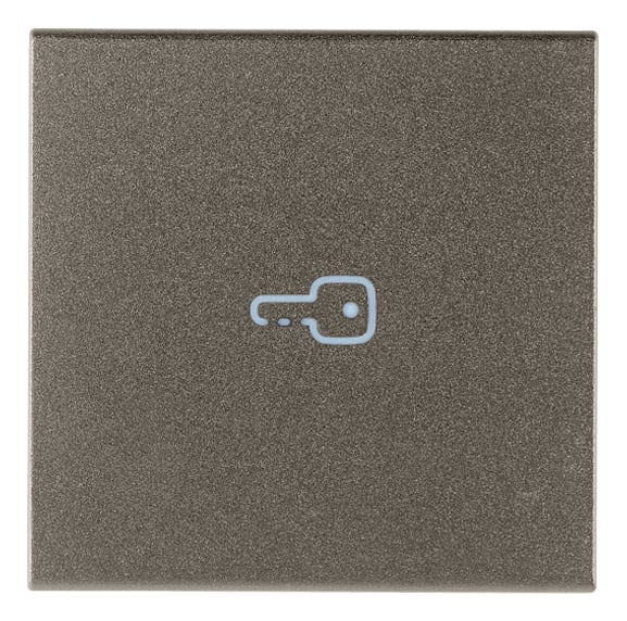 VIMAR - Tasto 2M Simbolo Chiave Assiale Metal - Intercambiabile 2 Modubi Comandi Assiali, Illuminabile.