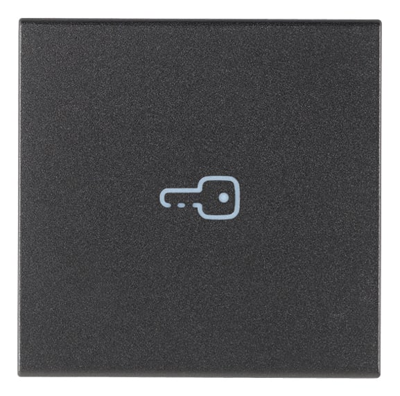 VIMAR - Tasto 2M Simbolo Chiave Assiale Grigio - Intercambiabile 2 Moduli Comandi Illuminabile
