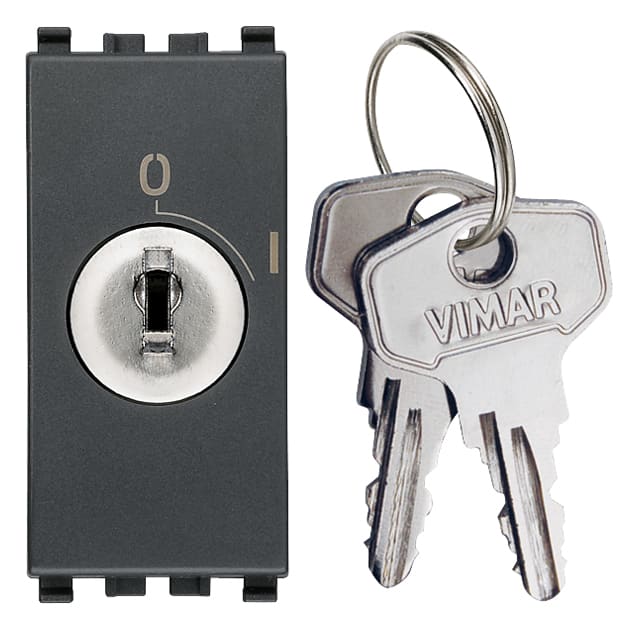 VIMAR - Interruttore 2P 16(3)A 250V~ a chiave estraibile, grigio, IP20, per conduttori 1,5-4mm2, Eikon, PTI250, Glow wire 850°C, disconnessione completa.