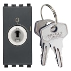 VIMAR - Interruttore 2P 16(3)A 250V~ a chiave estraibile, grigio, IP20, per conduttori 1,5-4mm2, Eikon, PTI250, Glow wire 850°C, disconnessione completa.