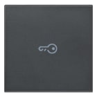 VIMAR - Tasto 2M Simbolo Chiave Assiale Grigio - Intercambiabile 2 Moduli Comandi Illuminabile