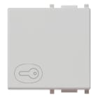 VIMAR - Tasto Intercambiabile 2 Moduli Simbolo Chiave Illuminabile Silver