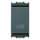 VIMAR - Pulsante 1P 10A Chiave Grigio 250V Simbolo