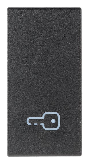VIMAR - Tasto Intercambiabile 1 Modulo Illuminabile Grigio Chiave Simbolo
