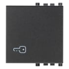 VIMAR - Tasto Intercambiabile 2 Moduli Simbolo Chiave Grigio Illuminabile