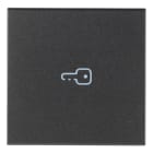 VIMAR - Tasto 2M Simbolo Chiave Assiale Grigio - Intercambiabile 2 Moduli Comandi Illuminabile
