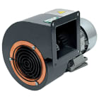 VORTICE - C10/2T ATEX II 2G/D H T3/125C X GB/DB, coclea in lamiera d'acciaio decapata fosfatata con fondo di vernice epossidica.