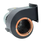 VORTICE - C15/2T ATEX II 2G/D H T3/125C X GB/DB, coclea in lamiera d'acciaio decapata, fosfatata, trattata con fondo di vernice epossidica.