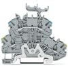 Miniatura Immagine principale 1