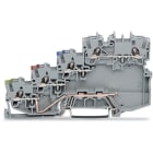 WAGO ELETTRONICA - Morsetto per sensore per 4 conduttori.con contatto di terra.con ingressi del conduttore colorato.grigio