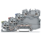 WAGO ELETTRONICA - Morsetto per sensore per 4 conduttori.con contatto di terra.con ingressi del conduttore colorato.grigio