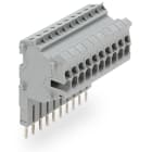 WAGO ELETTRONICA - Connettore modulare TOPJOB®S.modulare.per slot per contatto con ponticello.grigio