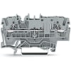 Miniatura Immagine principale 1